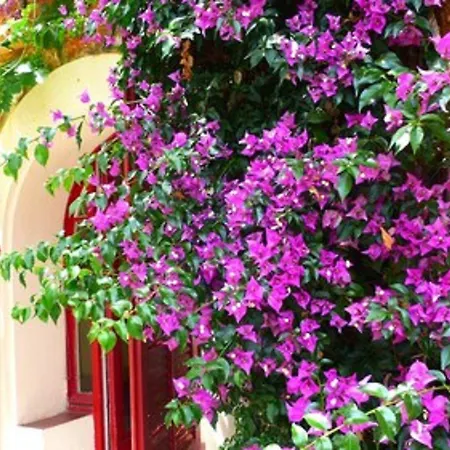 Bed & Breakfast Bennecourt 2*